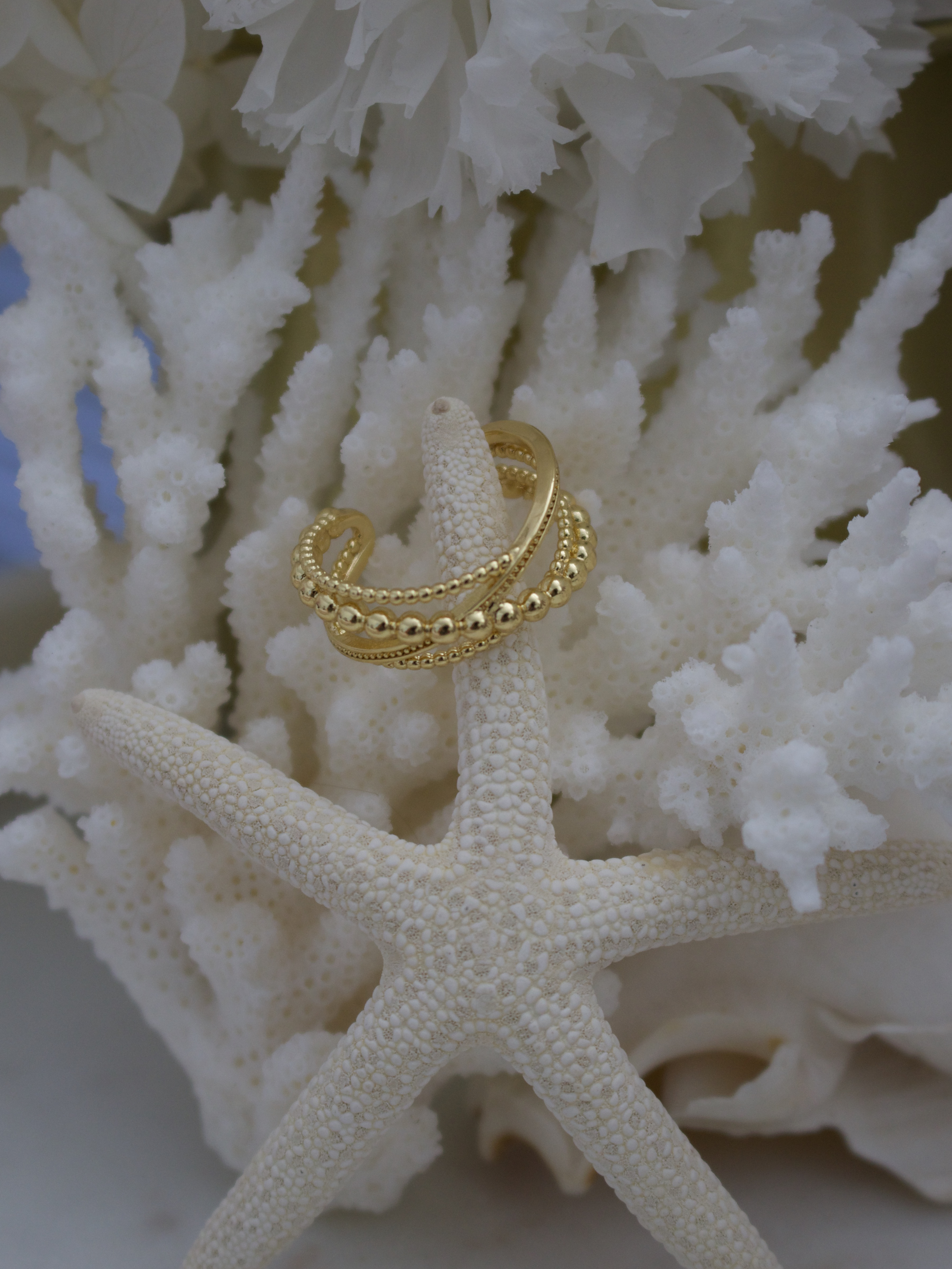 Cora + Akari Bundle Ring 18k Gold Plated Adjustable Ring